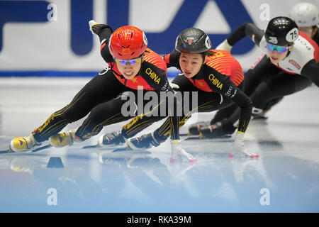 Torino, Italy. 10th February, 2019. ISU World Cup Short Track Speed Skating held at the Tazzoli Ice Rink Torino. Damiano Benedetto/ Alamy Live News Stock Photo