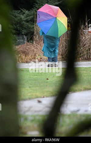 Cologne, Germany. 10th Feb 2019.  A walker wears a colourful umbrella in the Botanical Garden during warm but stormy rainy weather. Photo: Henning Kaiser/dpa Credit: dpa picture alliance/Alamy Live News Stock Photo