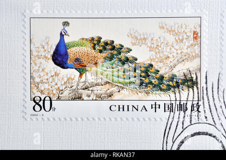 CHINA - CIRCA 2004: A stamp printed in China shows 2004-6 Peafowl , circa 2004 Stock Photo