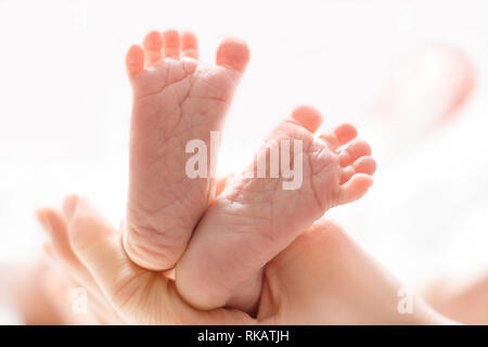 Mom massages the legs of a newborn baby.  Baby feet in mother hands. Tiny new born baby's feet on female hands closeup Stock Photo