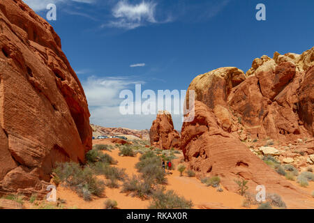 Rainbow Vista area of Valley of Fire State Park, Nevada, United States. Stock Photo