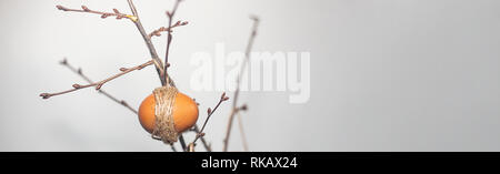 Easter concept. Spring time. Eggs hanging on branches Stock Photo