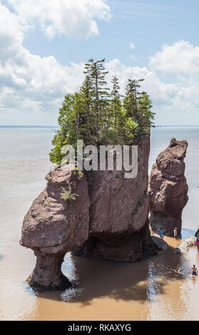 NEW BRUNSWICK, CANADA - August 5, 2017: View of Hopewell rocks, also called the Flowerpots Rocks, caused by tidal erosion in The Hopewell Rocks Ocean Stock Photo