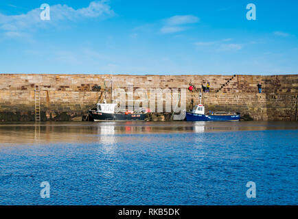 Fishing boats in Cove harbour, Berwickshire, Scottish Borders, Scotland, UK Stock Photo