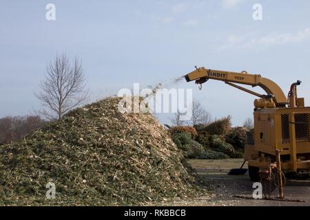 Warminster, Pennsylvania, USA - February 6, 2019: After the holidays, Christmas trees are ground up into mulch by a wood chipper by municipal workers. Stock Photo