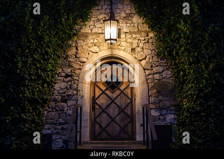 Atmospheric night scene, old arched wooden door illuminated by lamp in medieval stone wall with creeper plants in Wawel Castle, Krakow, Poland, entran Stock Photo