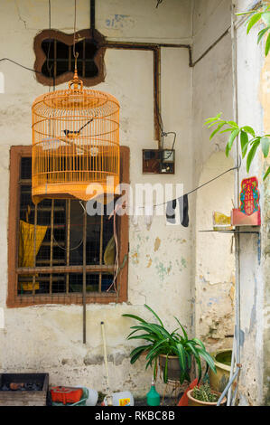 bamboo bird cage hanging in front of a facade of a house of Concubine lane in old town of Ipoh, Perak, Malaysia Stock Photo