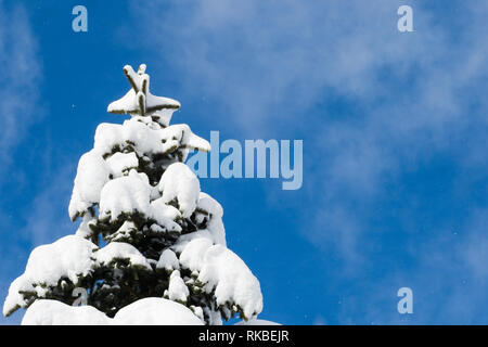A covered in snow tree top against a soft, cloudy, vibrant blue sky after winter's heavy snowfalls in the french alpes. Stock Photo