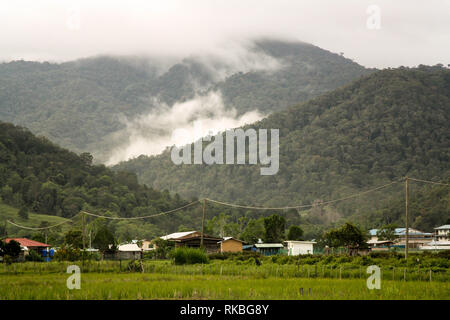 The isolated village of Bario. With rice fields surrounded by mountains ...
