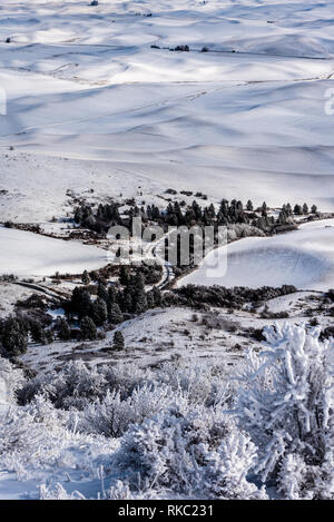 Snow Covered Farmland In The Rolling Hills Of The Palouse From Steptoe Butte. Stock Photo