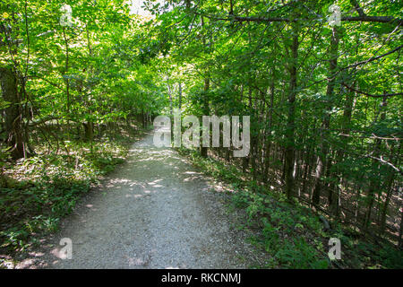 Views from the Empire Bluffs Trail, Sleeping Bear Dunes National Lakeshore, Michigan Stock Photo