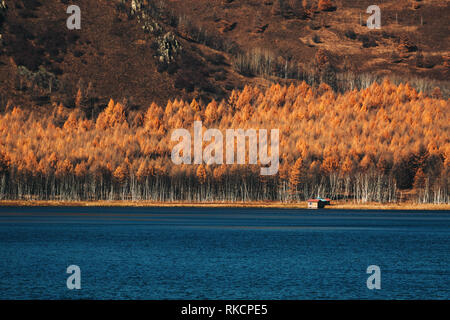 Autumn Colors Forest Woods Yellow Orange Reflecting on Blue Water Lake Landscape Natural Clear Weather Beautiful Stock Photo