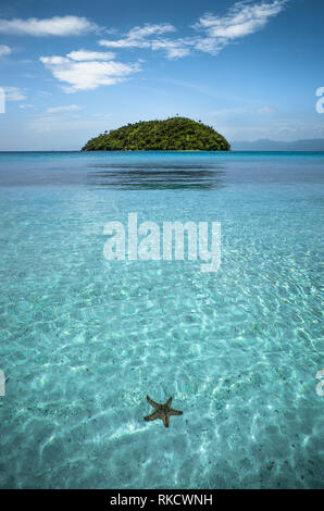 Starfish in crystal clear turquoise sea water, with small round island - Bonbon Beach, Romblon, Philippines Stock Photo