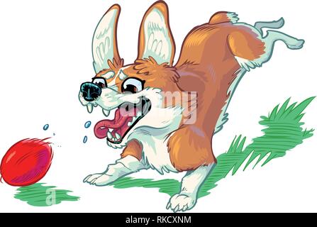 Vector cartoon clip art illustration of a cute and happy welsh corgi dog or puppy chasing a red ball, barking with mouth open, and toungue hanging out Stock Vector