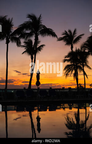 Silhouettes and reflections of palm trees during sunrise on Miami Beach Stock Photo