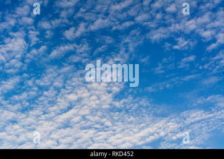 blue sky with small clouds. many Cumulus clouds are dense predawn sky start of the day Stock Photo