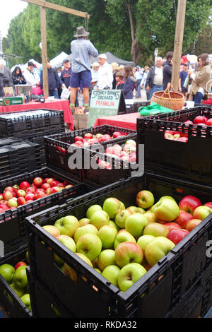 Apples for sale at stall in Salamanca Markets, Hobart, Tasmania, Australia. No MR or PR Stock Photo