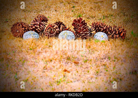 Close-up of several pinecones on the ground with three handcrafted stones that have symbols on them and the words hope, faith and love. Stock Photo