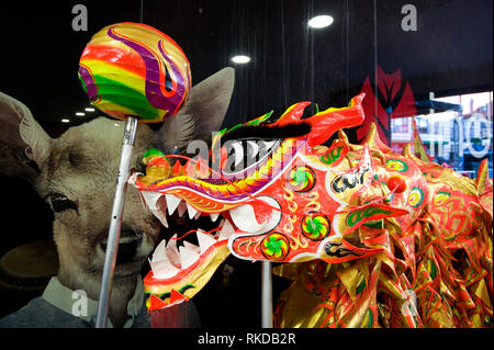 Dragon head on a pole next to a spherical object representing a pearl. Birmingham Chinese New Year 2019 celebrations to celebrate the Year of the Pig  Stock Photo