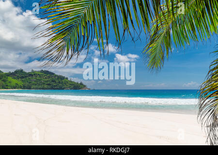 Beautiful beach background Stock Photo
