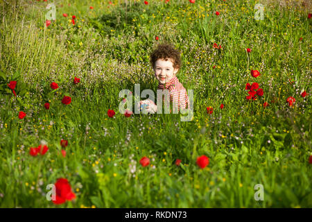 Adorable little girl playing in the spring meadowwith lots of red anemones before sunset Stock Photo