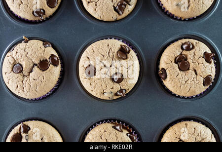 home made vanilla and chocolate chips muffins over a black background