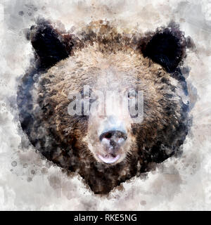 Bear Portrait watercolor Stock Photo - Alamy