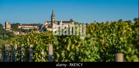 Beautiful sunrise village of Saint Emilion, Vineyard, Gironde, France, Europe Stock Photo