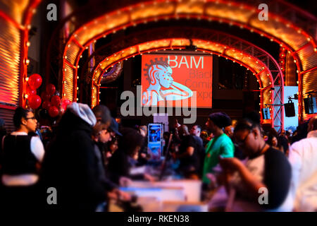Brooklyn, New York, USA. 10th Feb, 2019. New Yorkers and Tourists attend the 2nd Annual Black Comic Book Festival held at the Brooklyn Academy of Music (BAM) on February 10, 2019 in the Brooklyn section of New York City. Credit: Mpi43/Media Punch/Alamy Live News Stock Photo