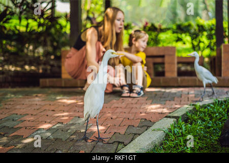 Mom and son are looking at Little Egret Cattle egret Bubulcus ibis Waters Edge. Family spends time in the park together. Stock Photo