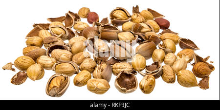 Hazelnuts cracked open with shells and hazelnut kernels isolated on white Stock Photo