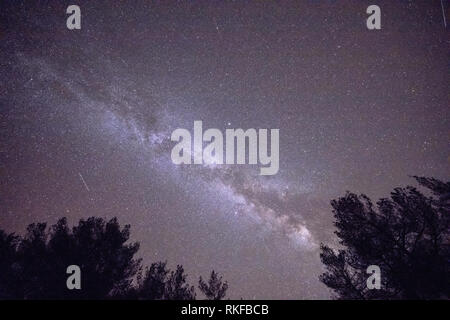 Starry sky with Milky way seen from mountain through trees in forest Stock Photo