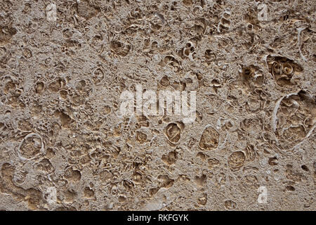 Building blocks from sandstone. Rough texture of bricks made of sand and seashells Stock Photo