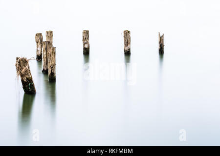 Woods at an old dock pier long exposure at dusk. Stock Photo
