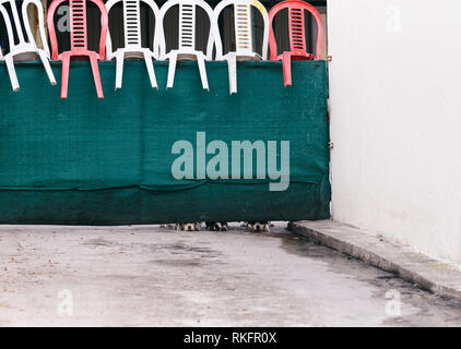 Three dogs guarding house looking and barking from under gates Stock Photo