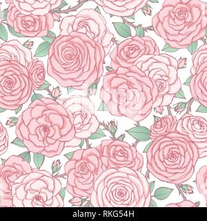 Vector seamless pattern with pink rose flowers and leaves on white background. Vintage floral ornament of blossoms in sketch style. Spring theme. For  Stock Vector