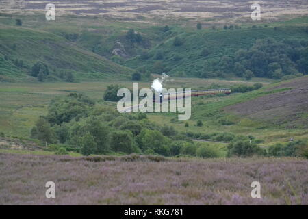 North Yorkshire Moors Railway - Steam Train Puffing Through The Valley And Moorland - Purple Heather - Stock Photo