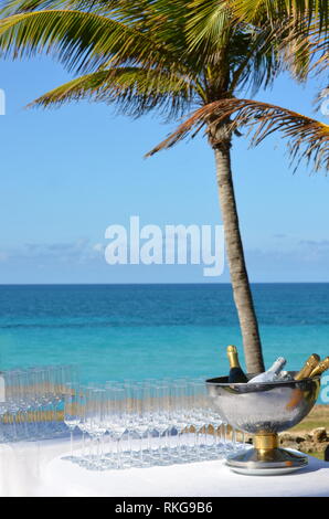 Stem glasses and sparkling wine table in seaside tropical island at destination wedding reception. Party set up for civic ceremony. Ocean view garden Stock Photo
