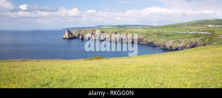 View of the Cornish coastline at Willapark near Tintagel Cornwall uk Stock Photo