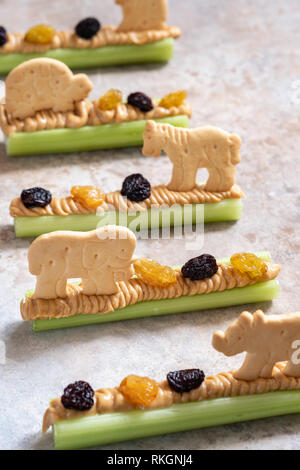 Ants on a Log Snack with Celery Peanut Butter, Raisins and Cookie Stock Photo