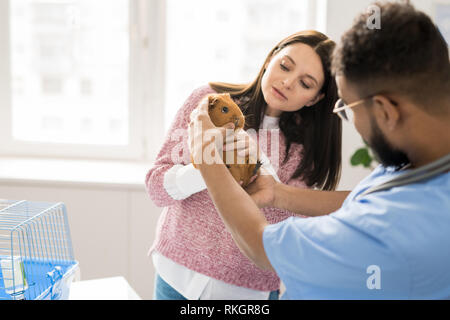 Bringing pet to doctor Stock Photo