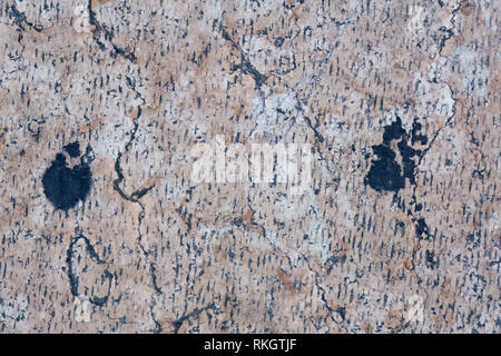 Detailed beige stone surface, texture of old natural marble Stock Photo