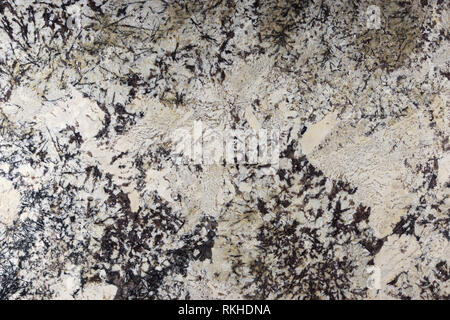 Beige granite with dark patterns in the form of needles on the surface, called Delicatus Cream. Stock Photo