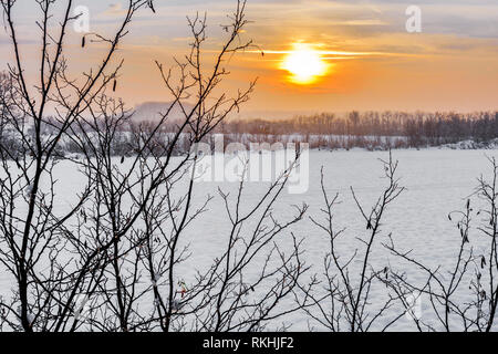 Beautiful winter sunset through the branches of the tree and over the snowy field. Stock Photo