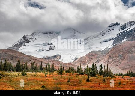 Barren landscape, glacial valley, Mount Athabasca, Icefields Parkway, Jasper National Park National Park Stock Photo