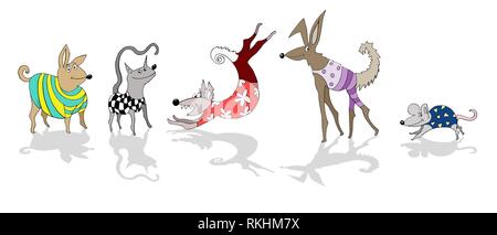 Crazy animals, Freisteller, dog, cat, mouse with clothes, white background, Germany Stock Photo