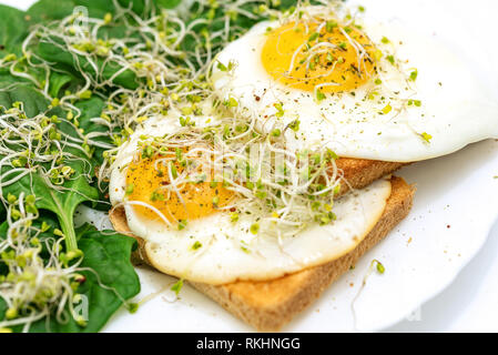 Healthy eating concept - fried eggs on toast with spinach and young sprouts on a white plate in close-up . Stock Photo