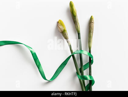 Flat lay image of three daffodil flowers on a white background tied with a green ribbon. Stock Photo