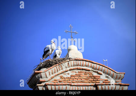 Storks in their nest in a tower in Segovia Spain Stock Photo