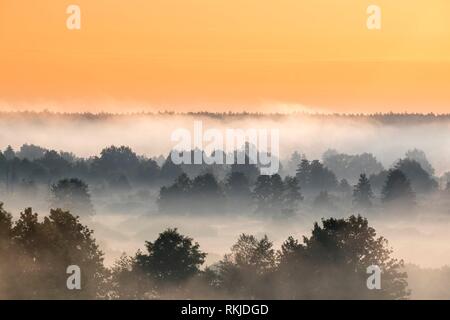 Misty Landscape. Scenic View. Morning Sky Over Misty Forest. Middle Summer Nature Of Europe.